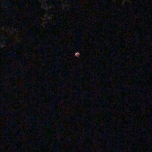 Meet your Posher, Ststephanie